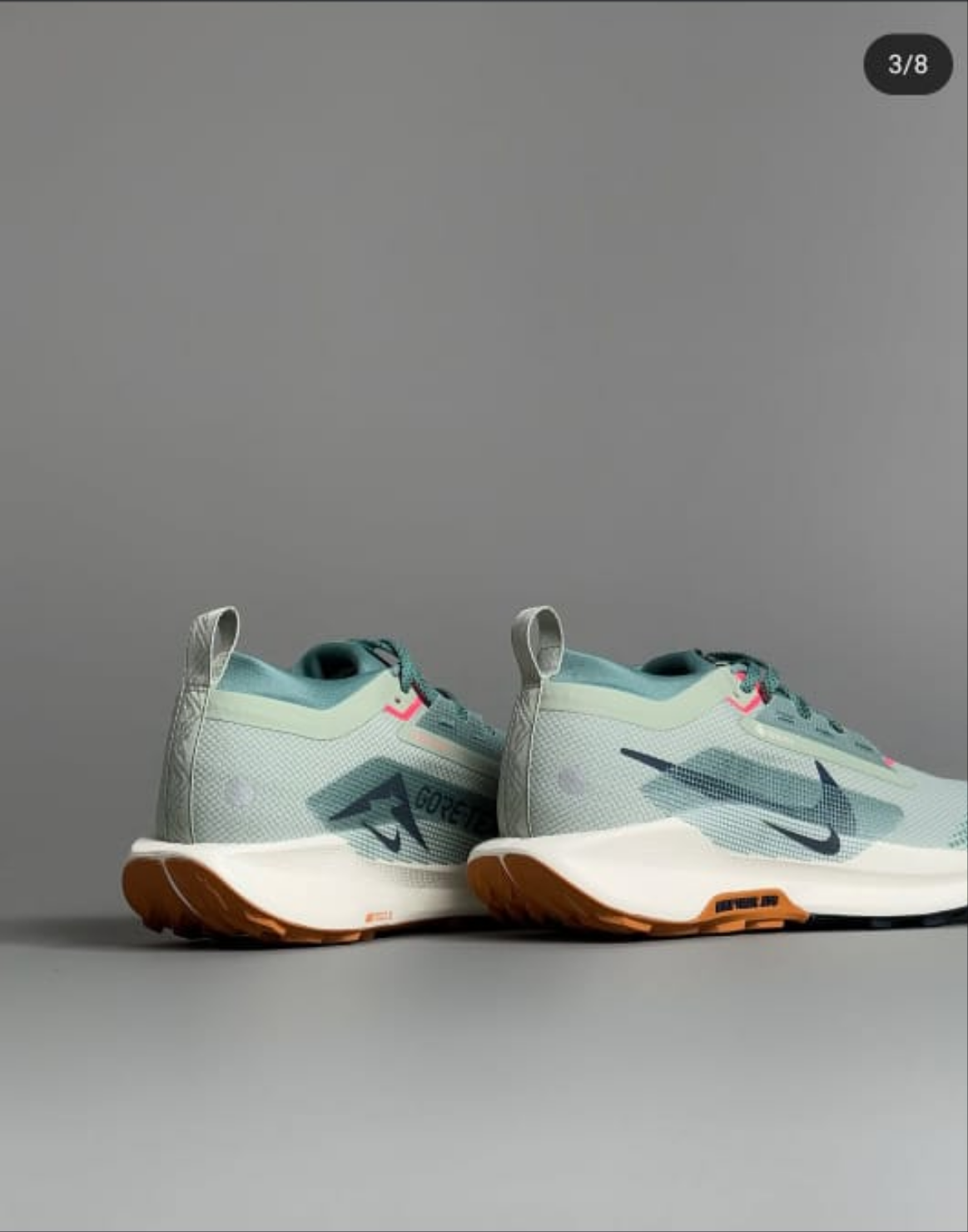 Nike Pegasus Trail 5 GORE-TEX