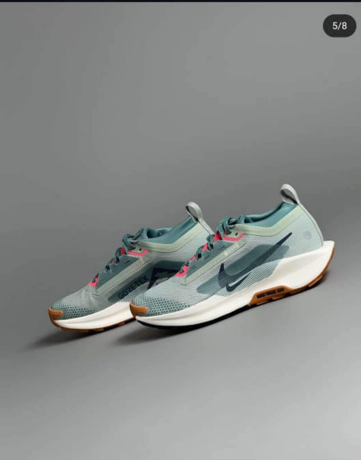 Nike Pegasus Trail 5 GORE-TEX
