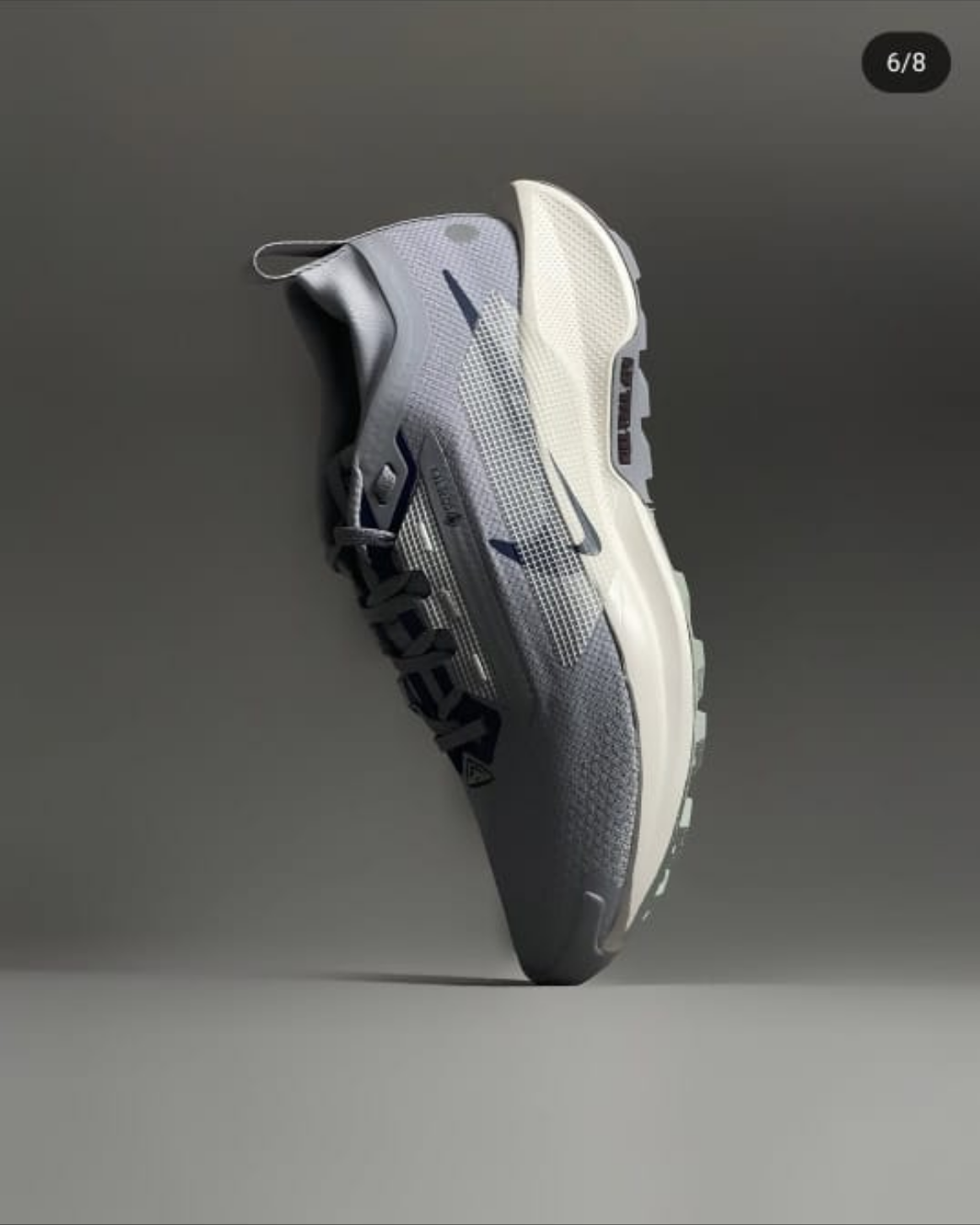 Nike Pegasus Trail 5 GORE-TEX