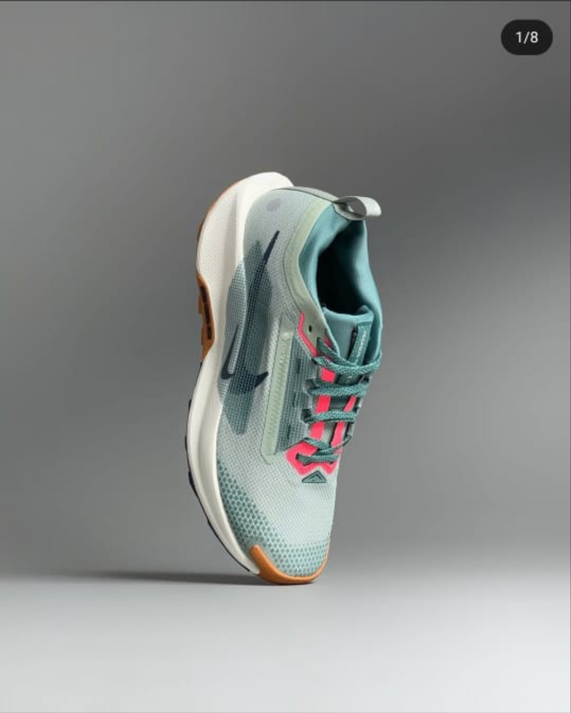 Nike Pegasus Trail 5 GORE-TEX