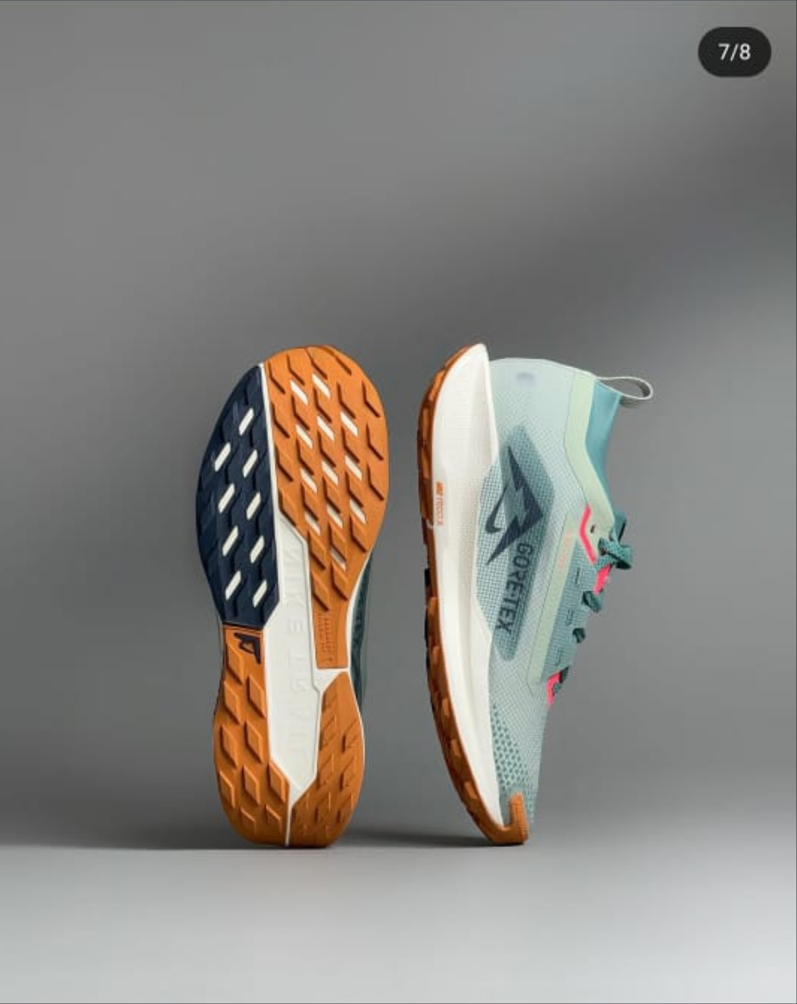 Nike Pegasus Trail 5 GORE-TEX