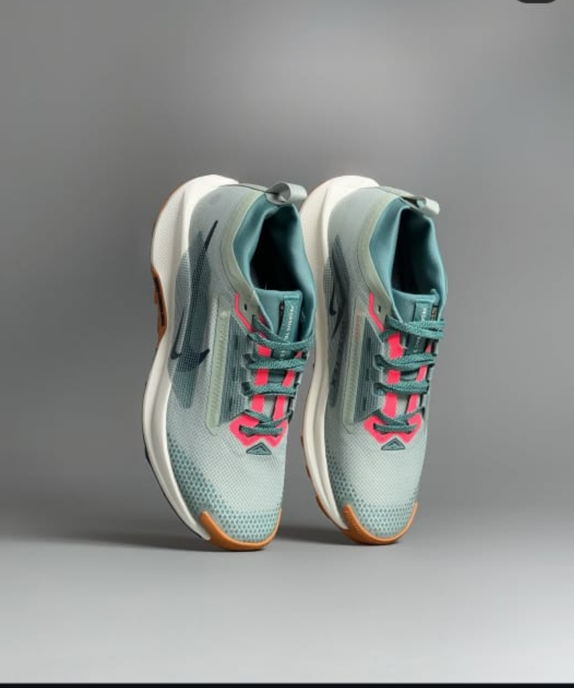 Nike Pegasus Trail 5 GORE-TEX