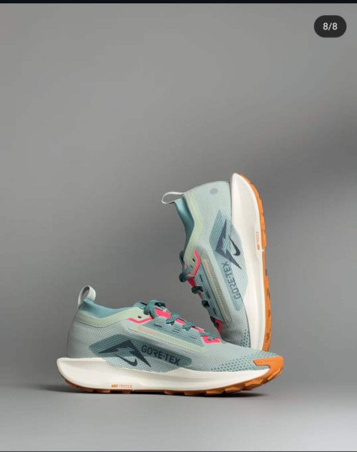 Nike Pegasus Trail 5 GORE-TEX