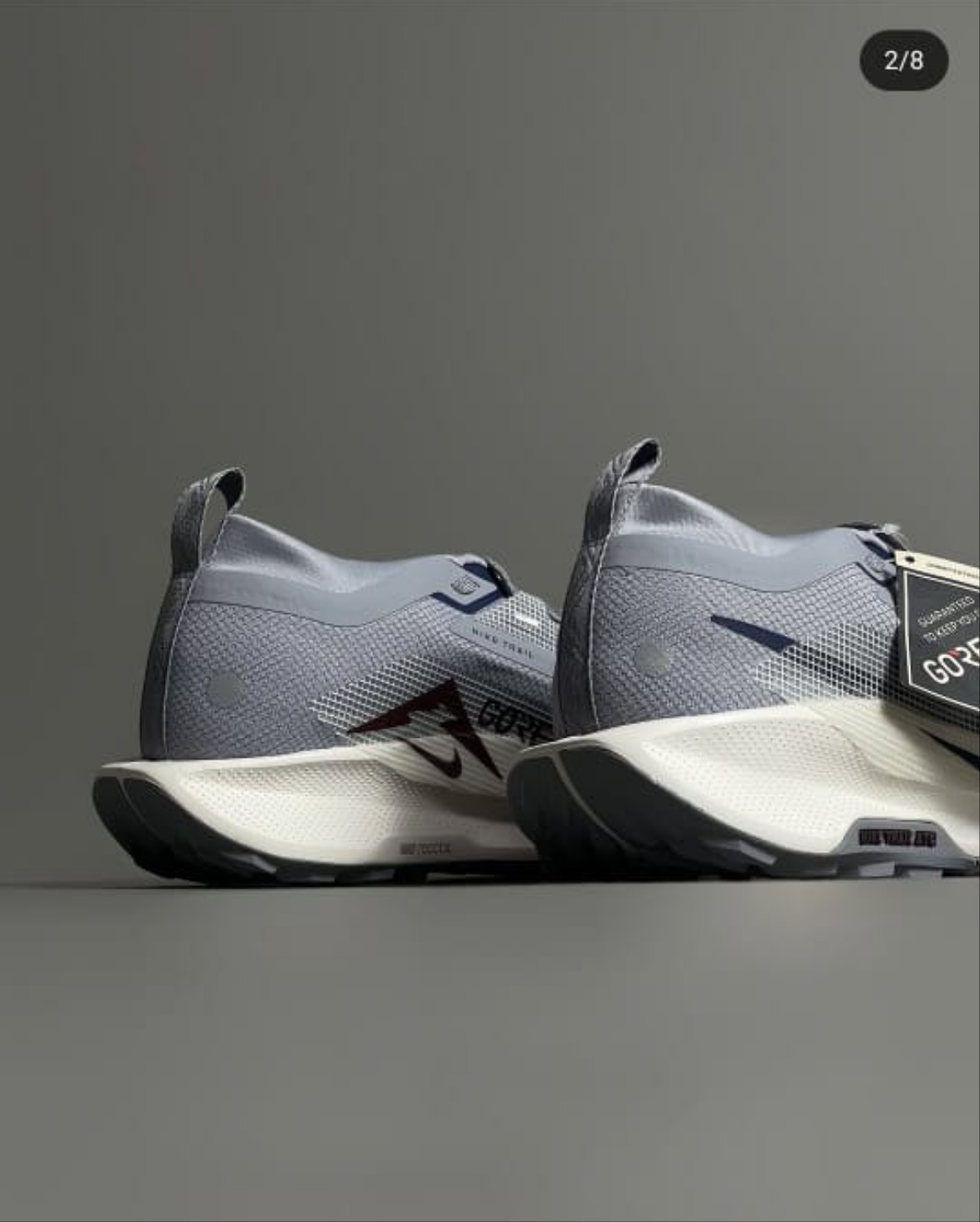 Nike Pegasus Trail 5 GORE-TEX