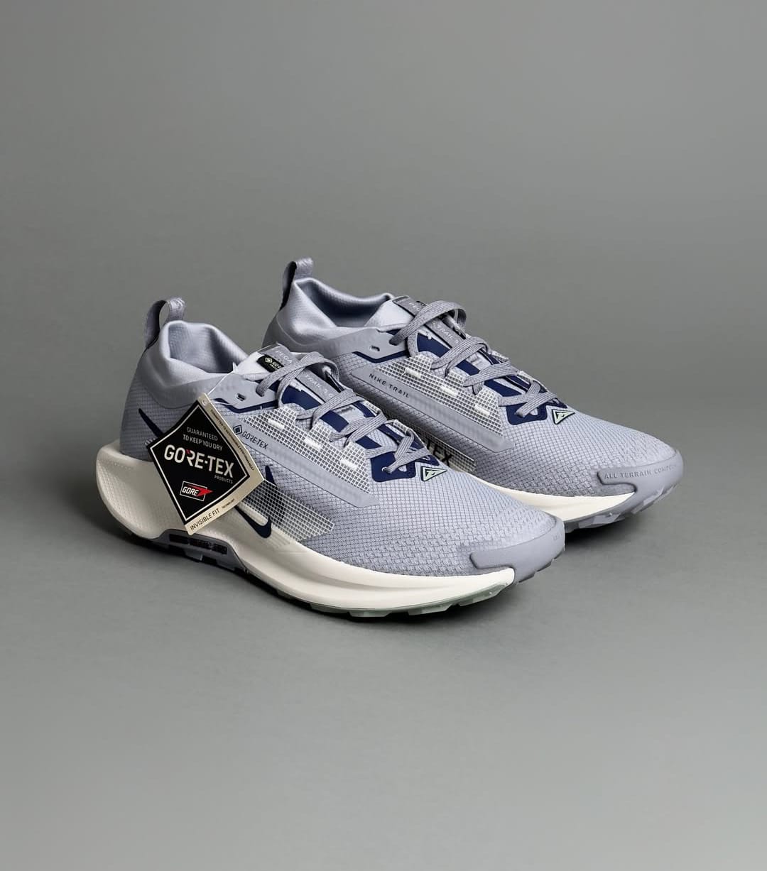 Nike Pegasus Trail 5 GORE-TEX