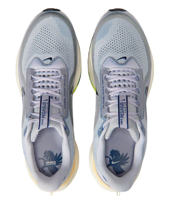 Nike Pegasus Premium 'Black/Metallic Silver-White' IH4369-001