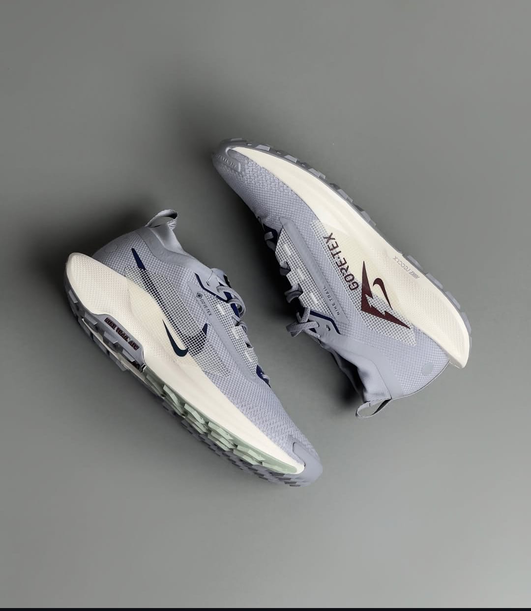 Nike Pegasus Trail 5 GORE-TEX