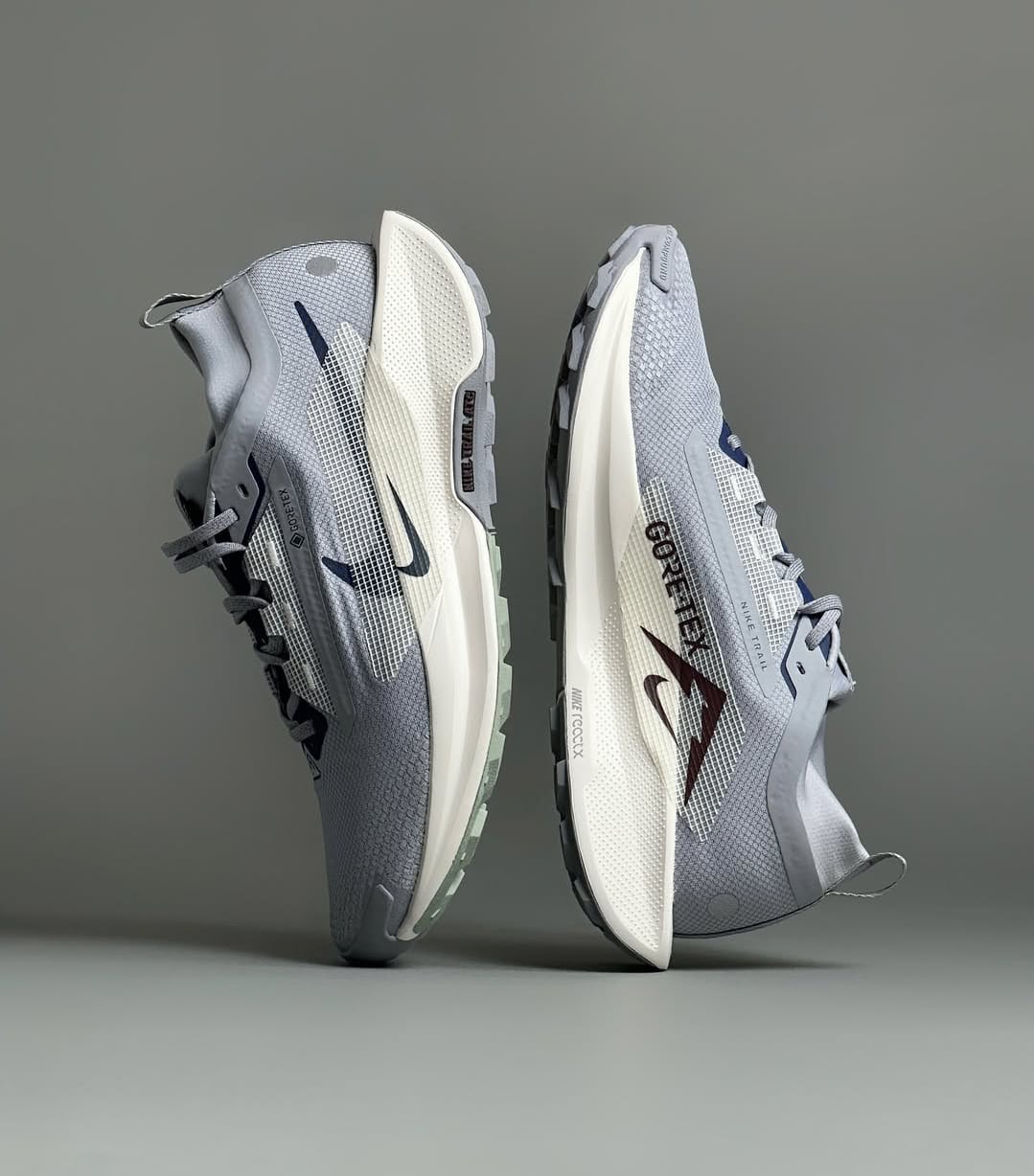 Nike Pegasus Trail 5 GORE-TEX