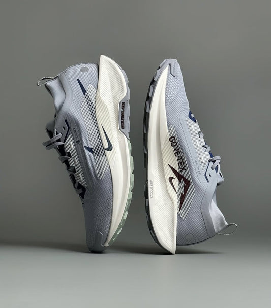 Nike Pegasus Trail 5 GORE-TEX